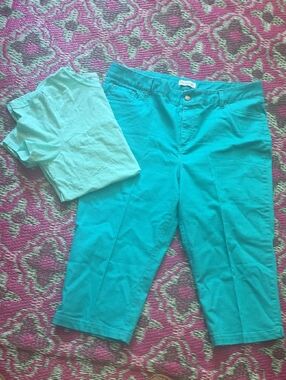 Time and Tru Spearmint Crew Neck Tee And Pants Capri A Set Size Blouse XL ;14